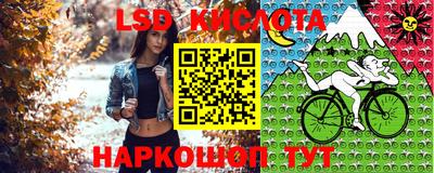 таблы Ставрополь