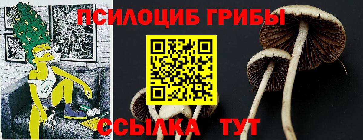 Псилоцибиновые грибы мухоморы Нижнекамск