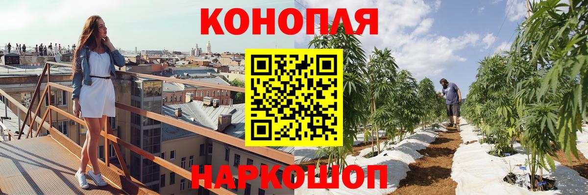 Бошки марихуана семена  МАРИХУАНА планчик  Нижнекамск  Вход с VPN 